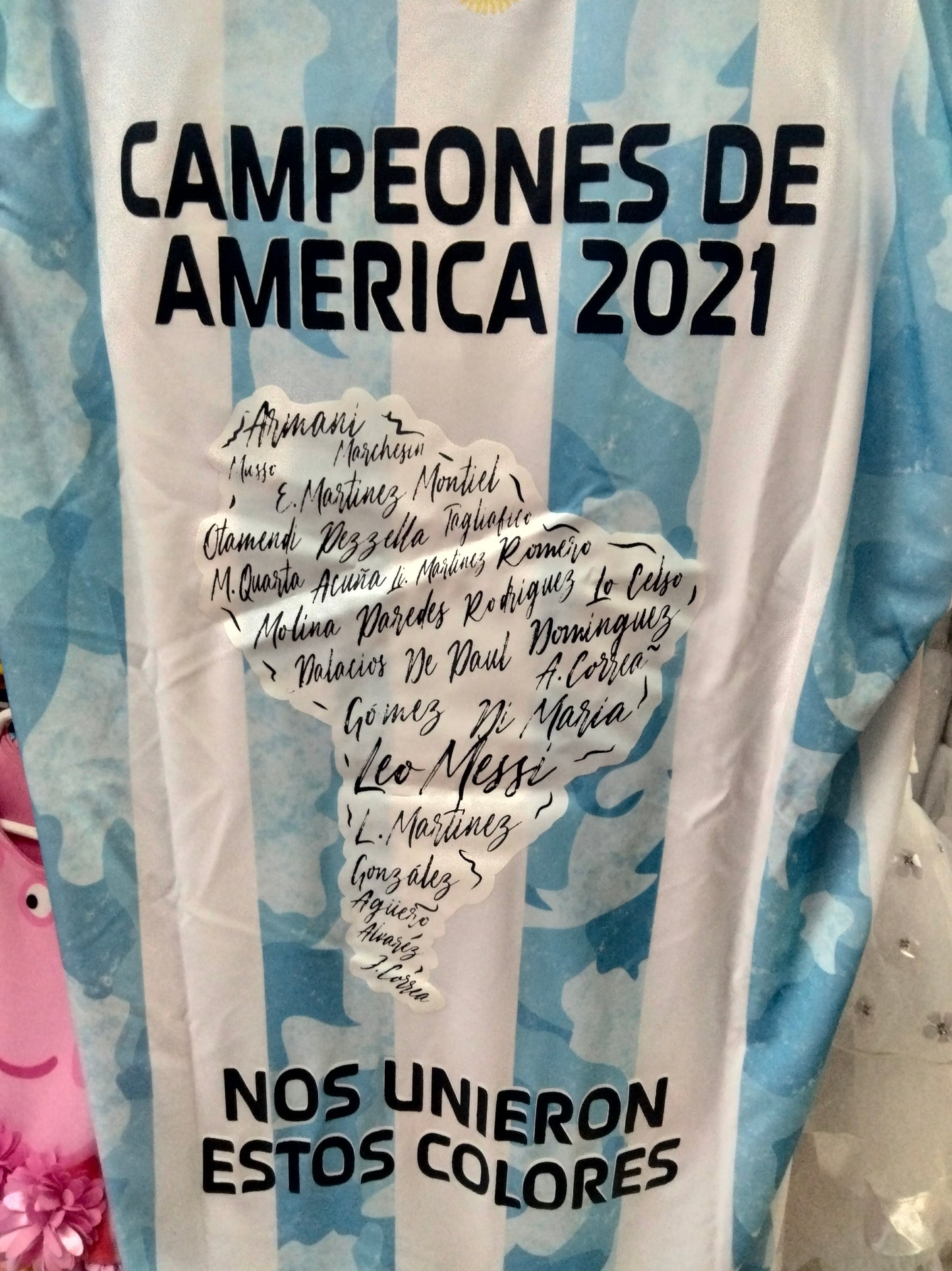 Tshirts Argentina 2021 adultos